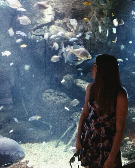 мои фотографии: 4