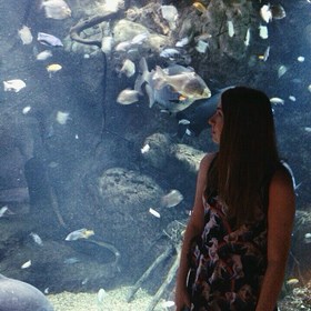 мои фотографии: 4